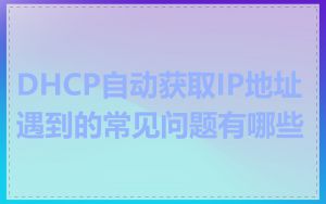 DHCP自动获取IP地址遇到的常见问题有哪些