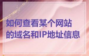 如何查看某个网站的域名和IP地址信息
