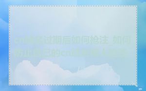 cn域名过期后如何抢注_如何防止自己的cn域名被人抢注
