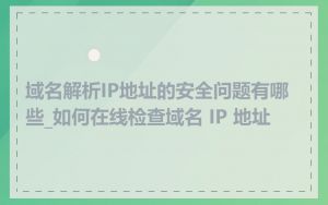域名解析IP地址的安全问题有哪些_如何在线检查域名 IP 地址