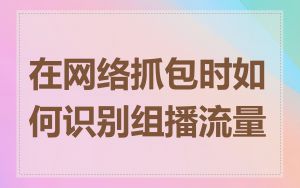 在网络抓包时如何识别组播流量