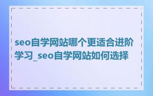 seo自学网站哪个更适合进阶学习_seo自学网站如何选择