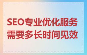SEO专业优化服务需要多长时间见效