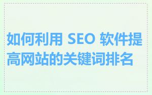 如何利用 SEO 软件提高网站的关键词排名
