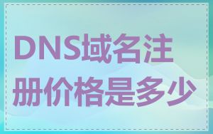DNS域名注册价格是多少