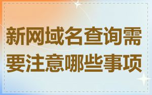 新网域名查询需要注意哪些事项