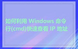 如何利用 Windows 命令行(cmd)快速查看 IP 地址