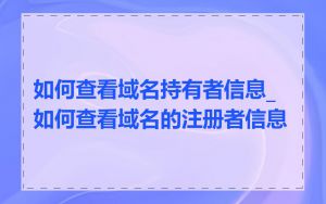 如何查看域名持有者信息_如何查看域名的注册者信息