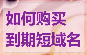如何购买到期短域名