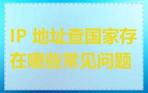 IP 地址查国家存在哪些常见问题