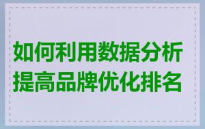 如何利用数据分析提高品牌优化排名