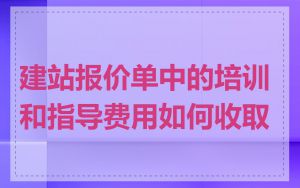 建站报价单中的培训和指导费用如何收取
