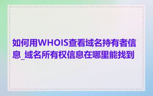 如何用WHOIS查看域名持有者信息_域名所有权信息在哪里能找到