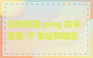 如何使用 ping 命令查看 IP 地址和域名