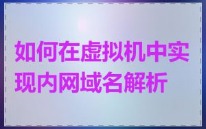 如何在虚拟机中实现内网域名解析