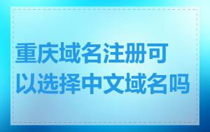 重庆域名注册可以选择中文域名吗