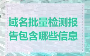 域名批量检测报告包含哪些信息