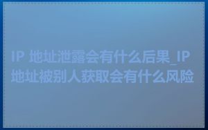 IP 地址泄露会有什么后果_IP地址被别人获取会有什么风险