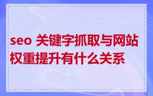 seo 关键字抓取与网站权重提升有什么关系