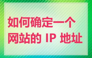 如何确定一个网站的 IP 地址