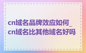cn域名品牌效应如何_cn域名比其他域名好吗