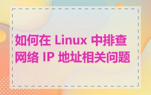 如何在 Linux 中排查网络 IP 地址相关问题