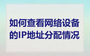 如何查看网络设备的IP地址分配情况