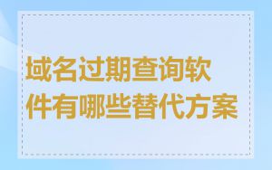 域名过期查询软件有哪些替代方案