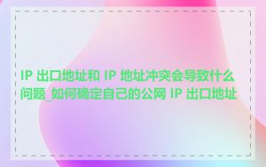 IP 出口地址和 IP 地址冲突会导致什么问题_如何确定自己的公网 IP 出口地址