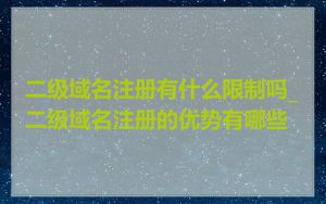 二级域名注册有什么限制吗_二级域名注册的优势有哪些