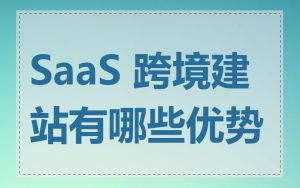 SaaS 跨境建站有哪些优势