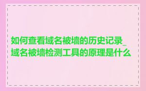 如何查看域名被墙的历史记录_域名被墙检测工具的原理是什么