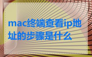 mac终端查看ip地址的步骤是什么