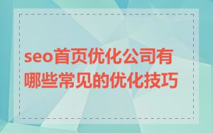seo首页优化公司有哪些常见的优化技巧