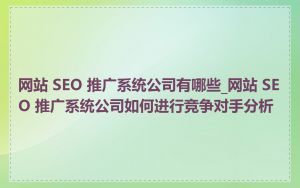 网站 SEO 推广系统公司有哪些_网站 SEO 推广系统公司如何进行竞争对手分析
