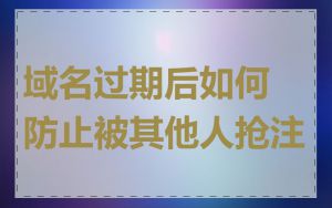 域名过期后如何防止被其他人抢注