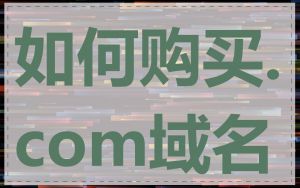 如何购买.com域名