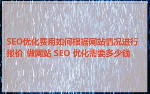 SEO优化费用如何根据网站情况进行报价_做网站 SEO 优化需要多少钱
