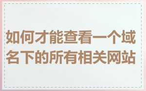 如何才能查看一个域名下的所有相关网站