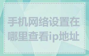 手机网络设置在哪里查看ip地址
