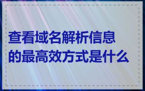 查看域名解析信息的最高效方式是什么