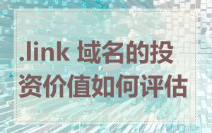 .link 域名的投资价值如何评估