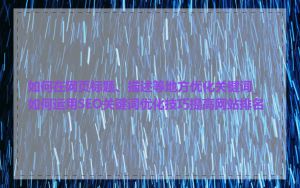 如何在网页标题、描述等地方优化关键词_如何运用SEO关键词优化技巧提高网站排名