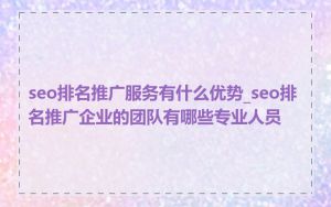 seo排名推广服务有什么优势_seo排名推广企业的团队有哪些专业人员