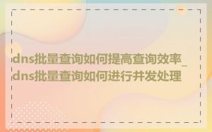 dns批量查询如何提高查询效率_dns批量查询如何进行并发处理
