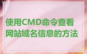 使用CMD命令查看网站域名信息的方法