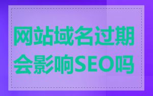 网站域名过期会影响SEO吗