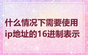 什么情况下需要使用ip地址的16进制表示