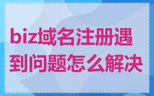 biz域名注册遇到问题怎么解决
