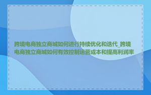 跨境电商独立商城如何进行持续优化和迭代_跨境电商独立商城如何有效控制运营成本和提高利润率